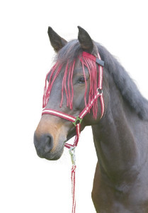 COVALLIERO Frędzelki czerwone Pony