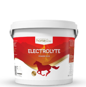 HorseLine Pro Elektrolity 3000g