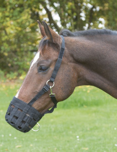 Covalliero Kaganiec dla konia nylonowy czarny shetty