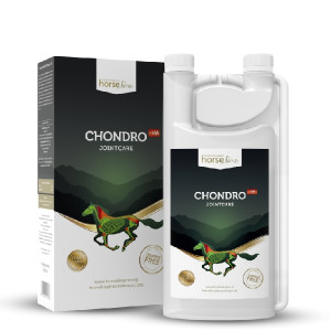 HorseLine Pro Chondro+HA 2x1000ml